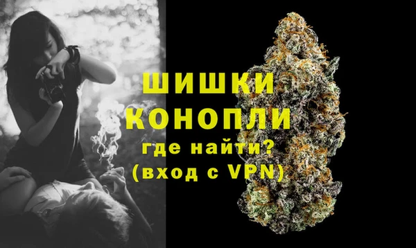 ALPHA PVP Дмитриев